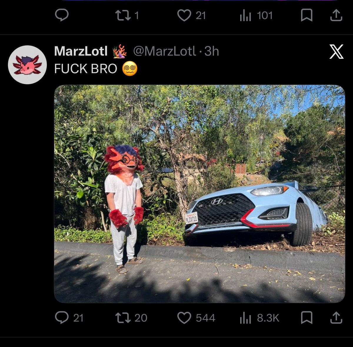 Wavey/Max/Zel/Holly tweet media