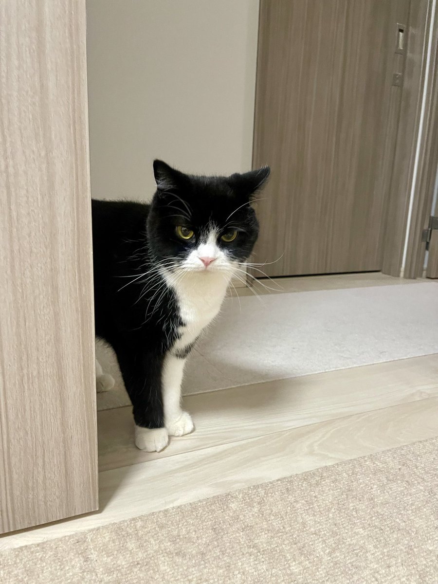 たろう (@taro20216) / Posts / X