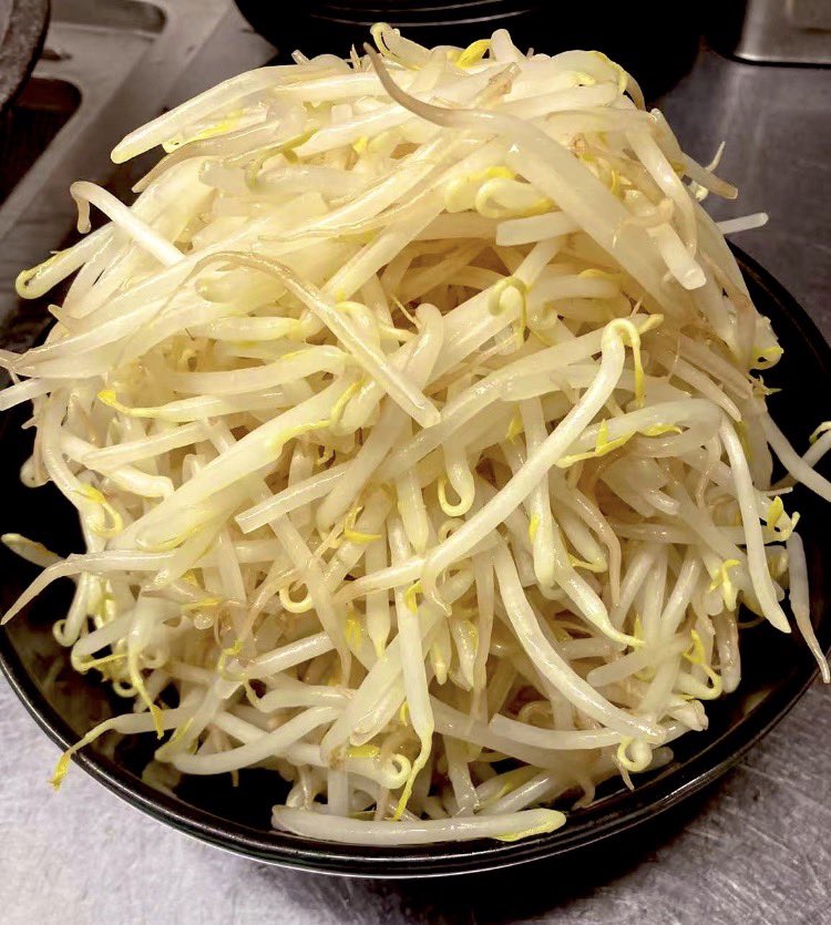 おはようございます 本日のフォロワーサービスは🈂️もやし🈂️です ご