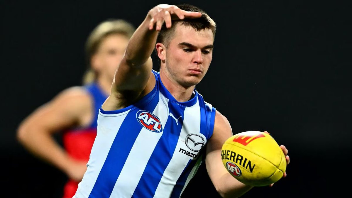 The North Merchant 🦘 tweet media