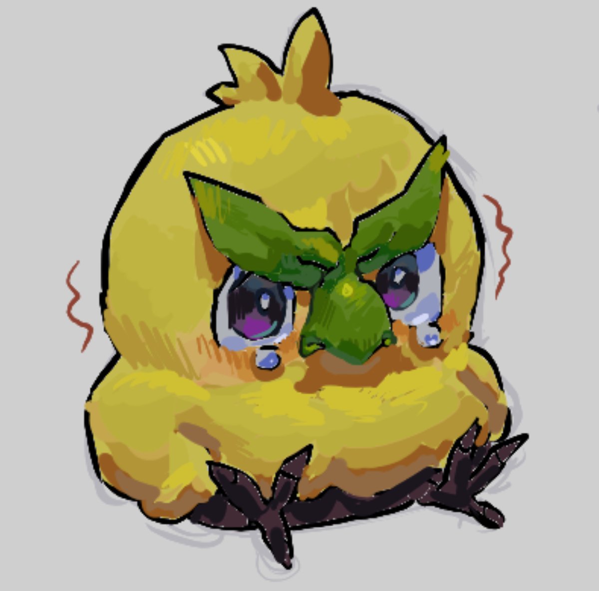 oh my sweet little browt how much i adore you