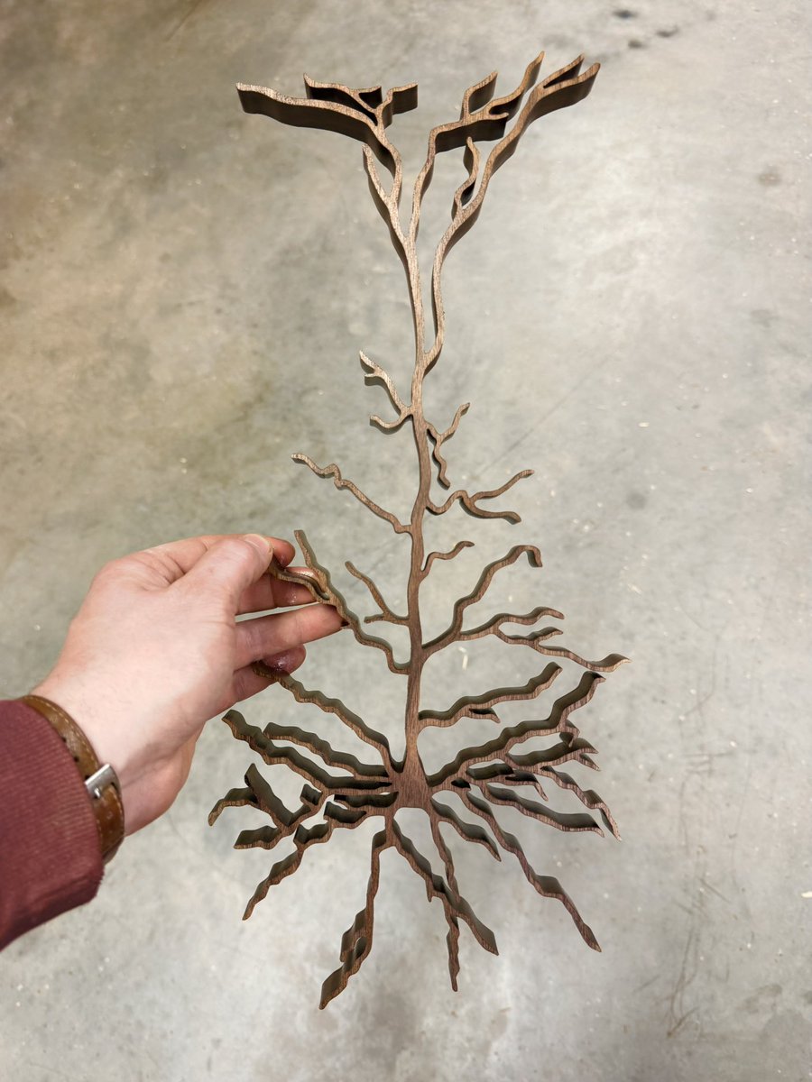 NeuroWoodworks tweet media