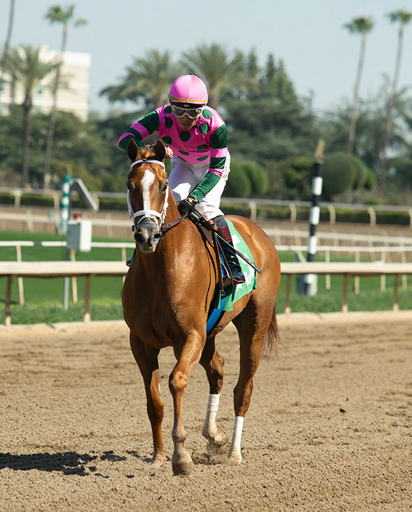 Brian Beach tweet media