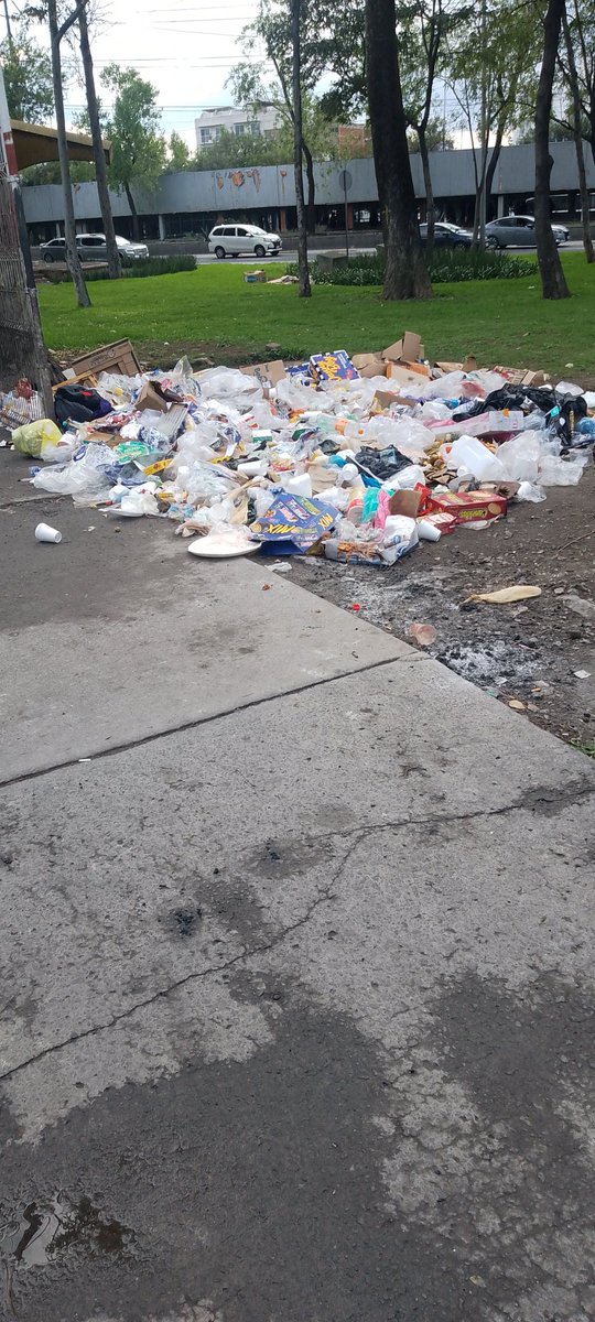 Manuel Chapol tweet media