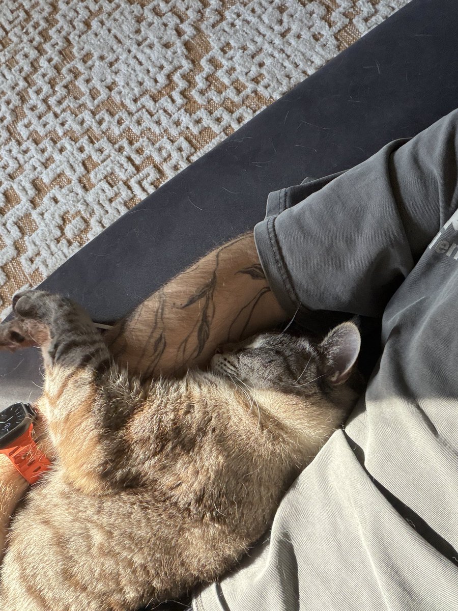 you gene tweet media