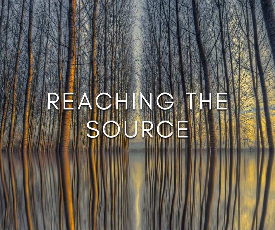 The Gene Keys tweet media