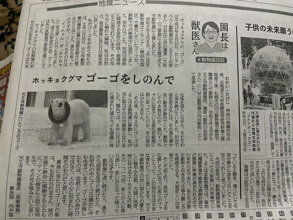 昨日実家に行った時に目にした新聞記事。天王寺動物園の園長が何故ハッキリ書かないのか？書けないのか？圧力あるのか？ズーラシアがちゃんと麻酔前に健康管理してた？本当に？採精中と書けないと言う事はズーラシアにとって今回の件は都合が悪い事だから隠してるから
#ゴーちゃん
#ズーラシア