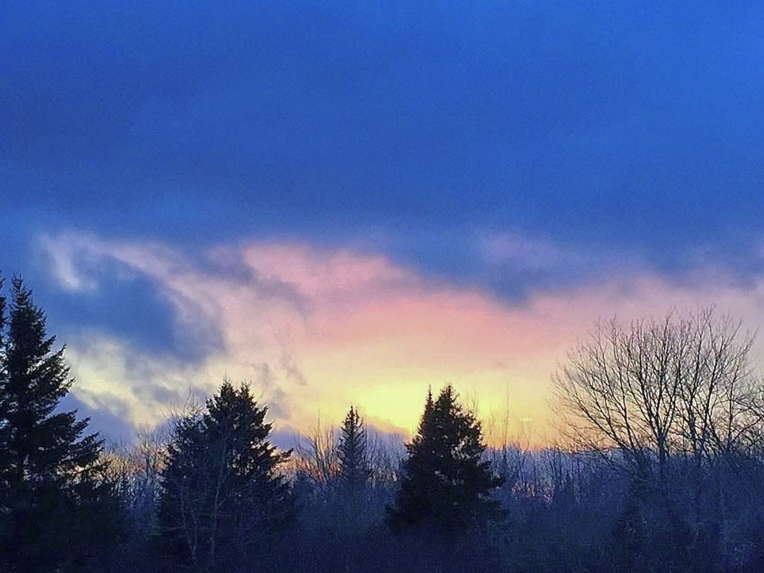 Virginia Lori tweet media