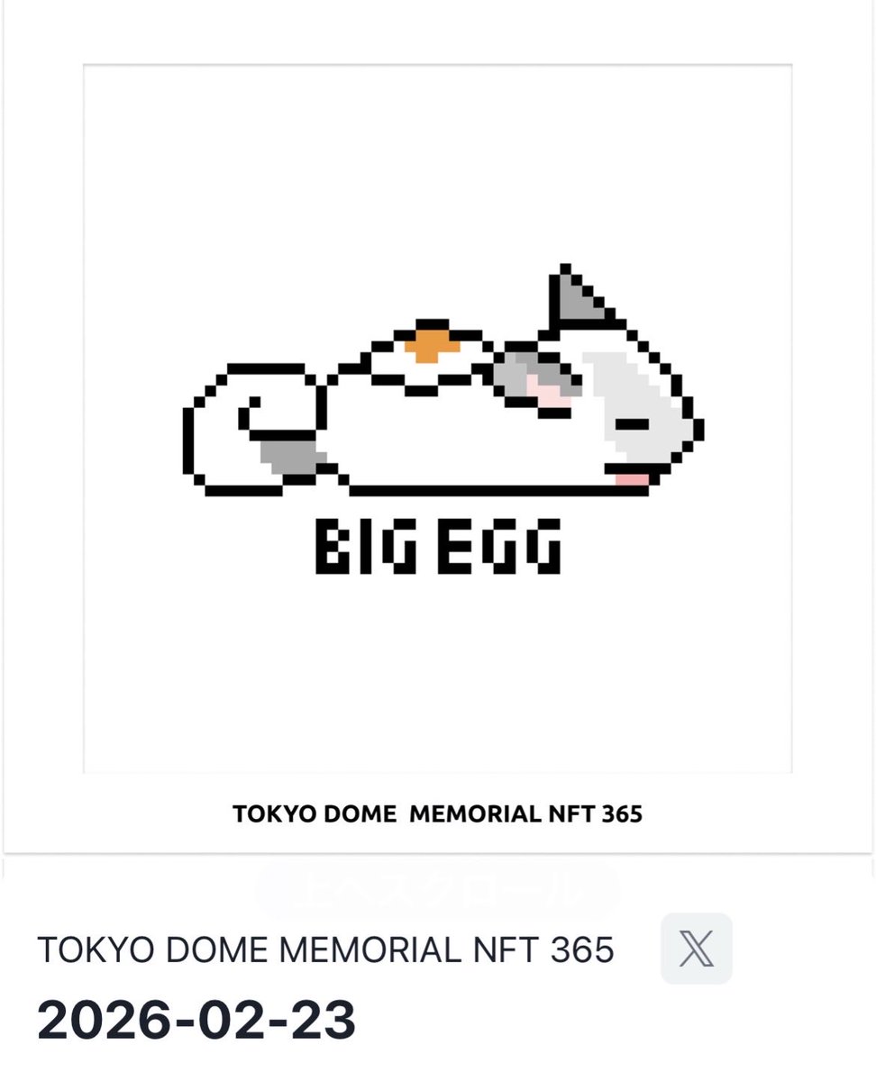 lettuce908's tweet photo. 「TOKYO DOME MEMORIAL NFT 365」のチンチラ作品受け取ってくださった皆さま、ほんとにありがとうございました！！
想像以上の方の手に渡っていて嬉しい限りです！

今日からはわおさんの作品が受け取れますので、ぜひ引用元のポストをチェックしてください🦄 https://t.co/DM27O6soLe