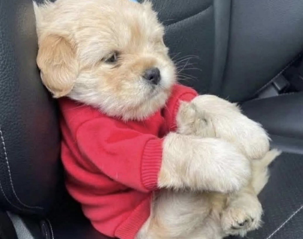 Yo después de decir mal las instrucciones del maps: