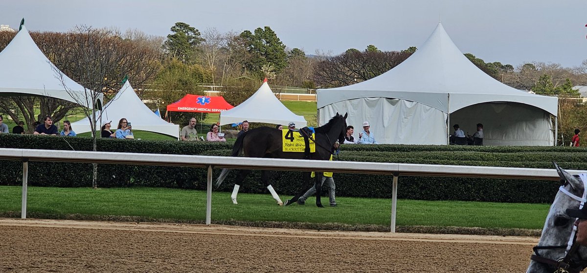 ghostzapperfan's tweet image. Blackout Time @JWashington2020 @OaklawnRacing