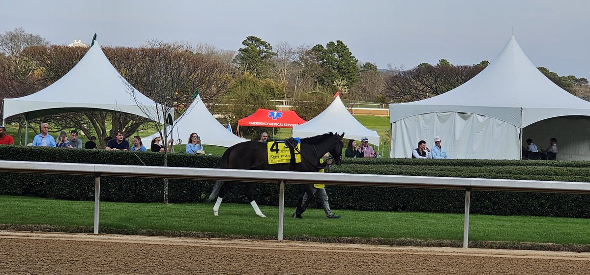 ghostzapperfan's tweet image. Blackout Time @JWashington2020 @OaklawnRacing