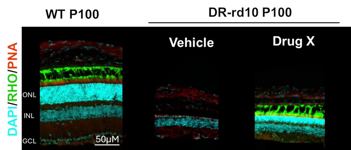 Telias Lab tweet media