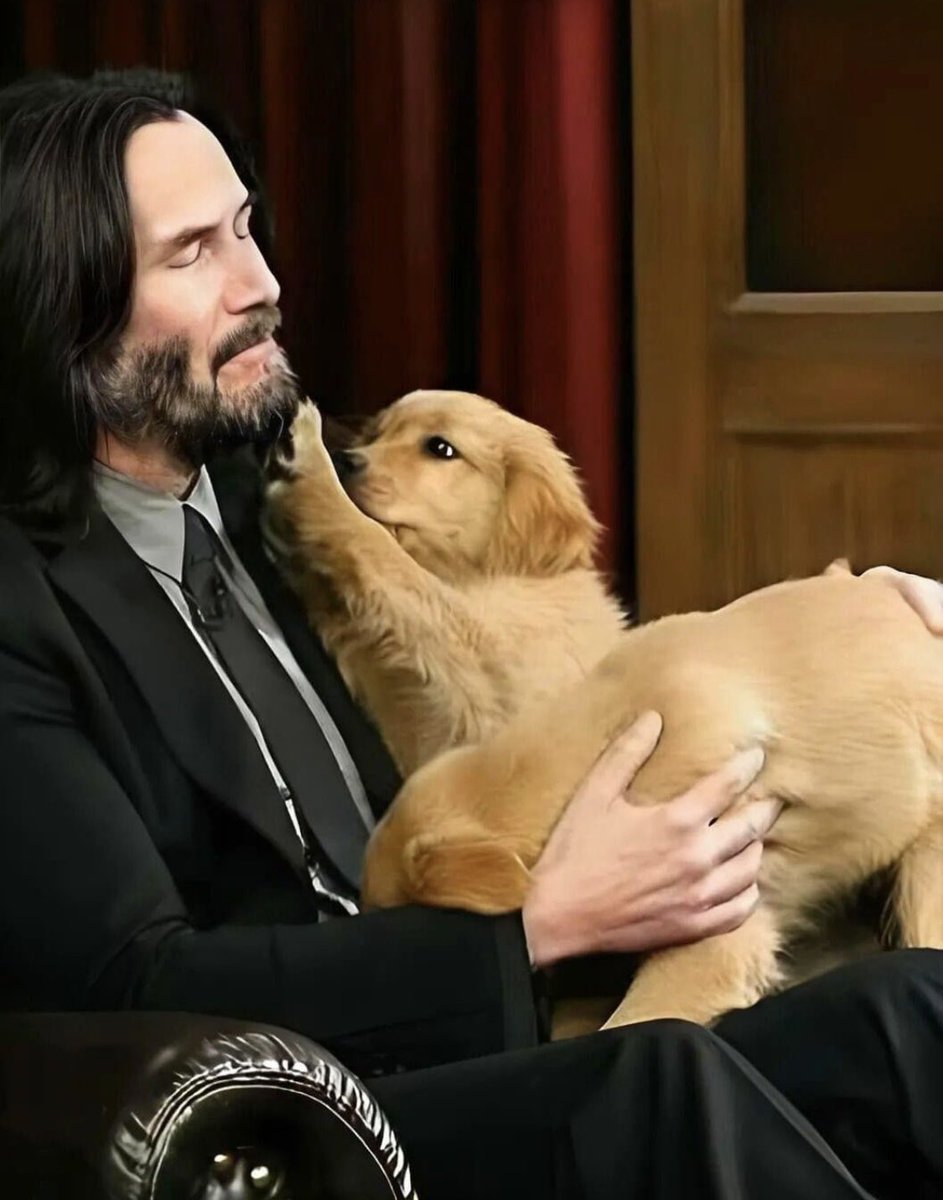 keanu reeves aka the puppy king 🐾