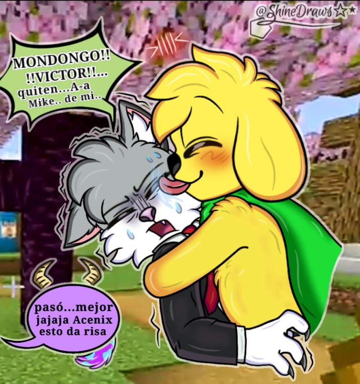 🩷✨️🍋⛧⋆𝑆ℎ𝑖𝑛𝑒𝐷𝑟𝑎𝑤𝑠✧⋆⛧🍋✨️🩵#ElKinder tweet media