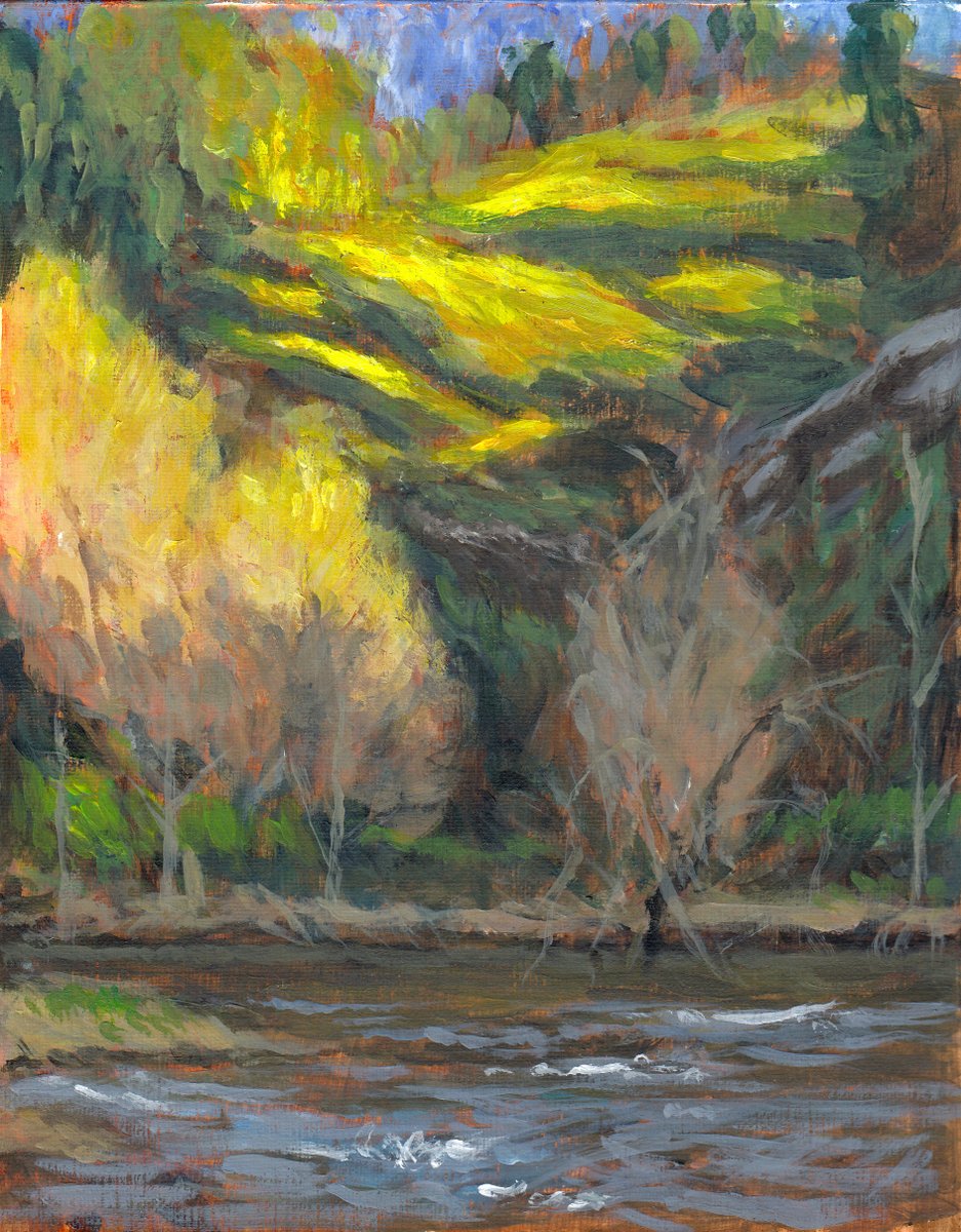 Pedro G. Ferreira tweet media