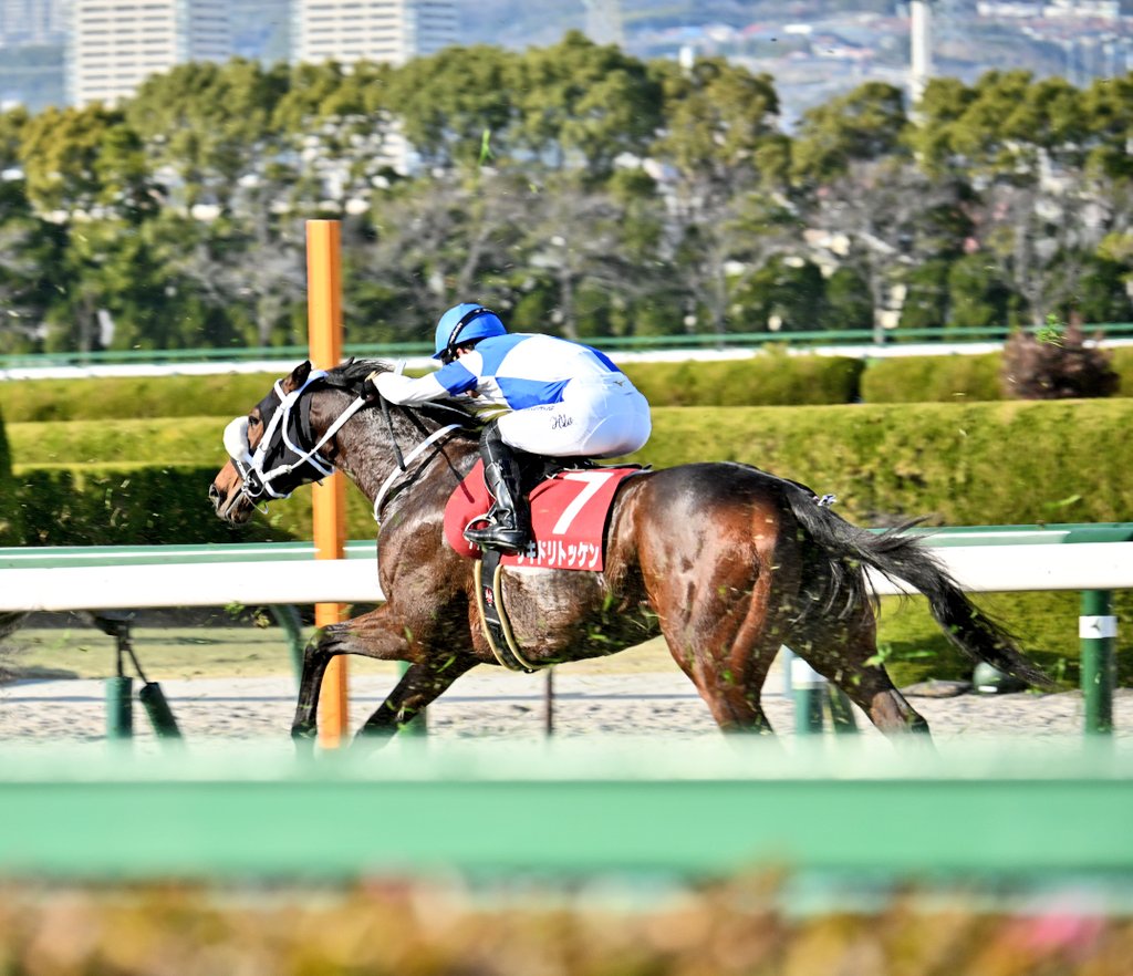 馬とね子 (@nekotouma88) / Posts / X