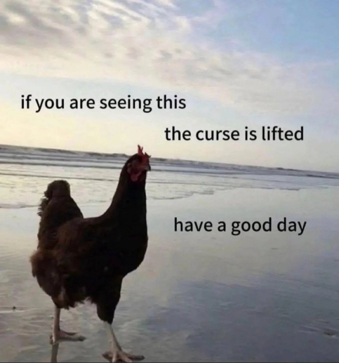 you are free now