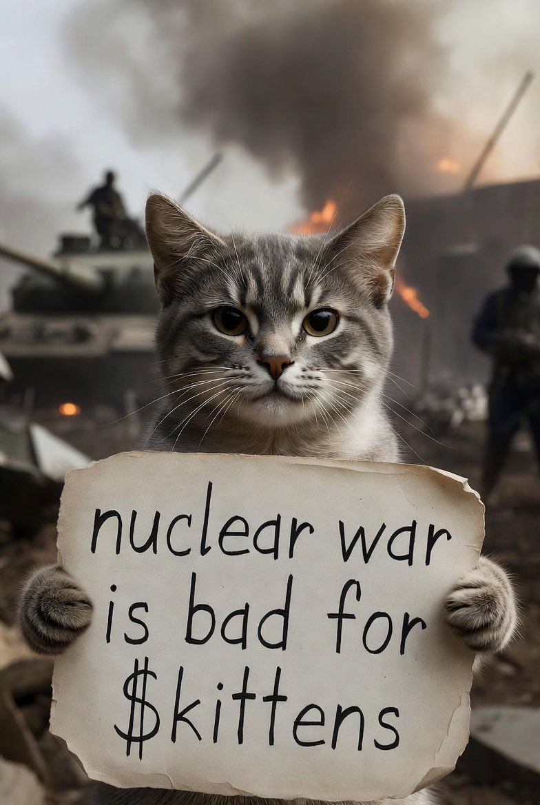 catez🔅 tweet media