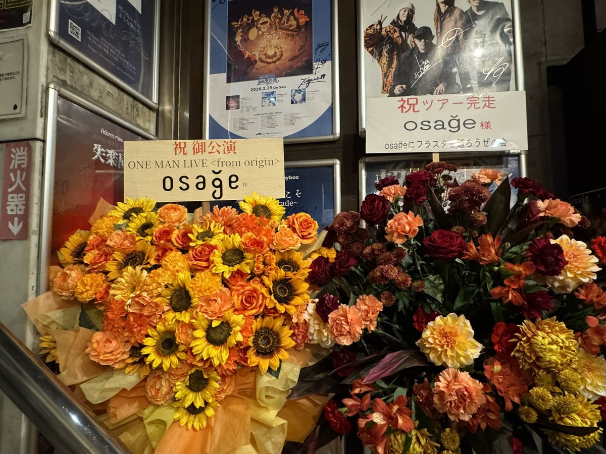 msym_731's tweet photo. #osage
#fromorigin
セトリが激アツで、何回か悲鳴が出ました笑
ライブで聴けたらいいなと思っていた曲がライブで聴けて嬉しかった🎸
「ウーロンハイと春に」が、いつか、春を代表して皆に愛される歌になったらいいなと思います🌷🌸 https://t.co/ZKEkTaLJvk