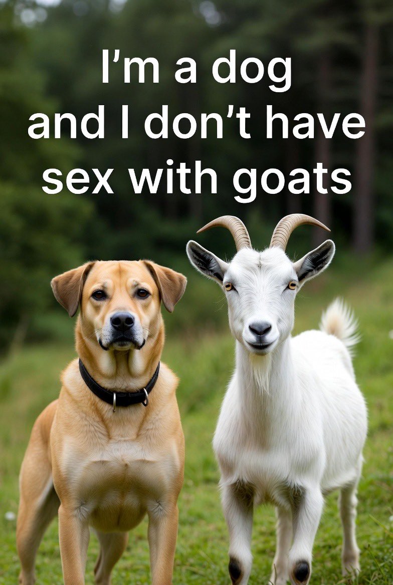 Micki way tweet media