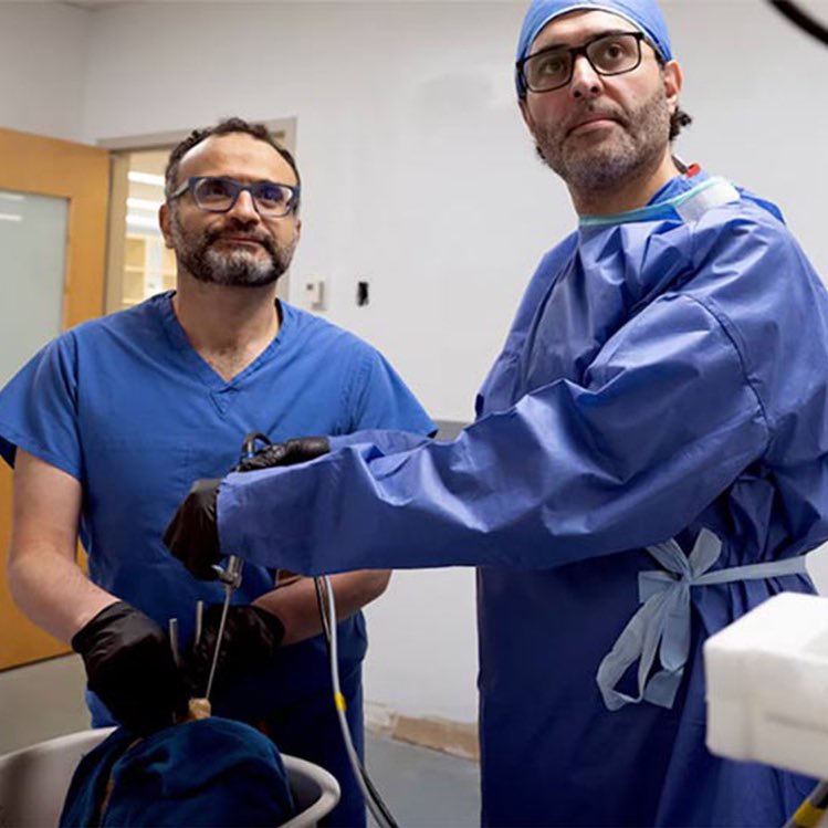 Enséñame de Ciencia tweet media