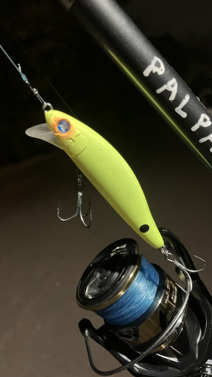 アナハゼ太郎 (@05j1g3bU634nmZ1) / Posts / X