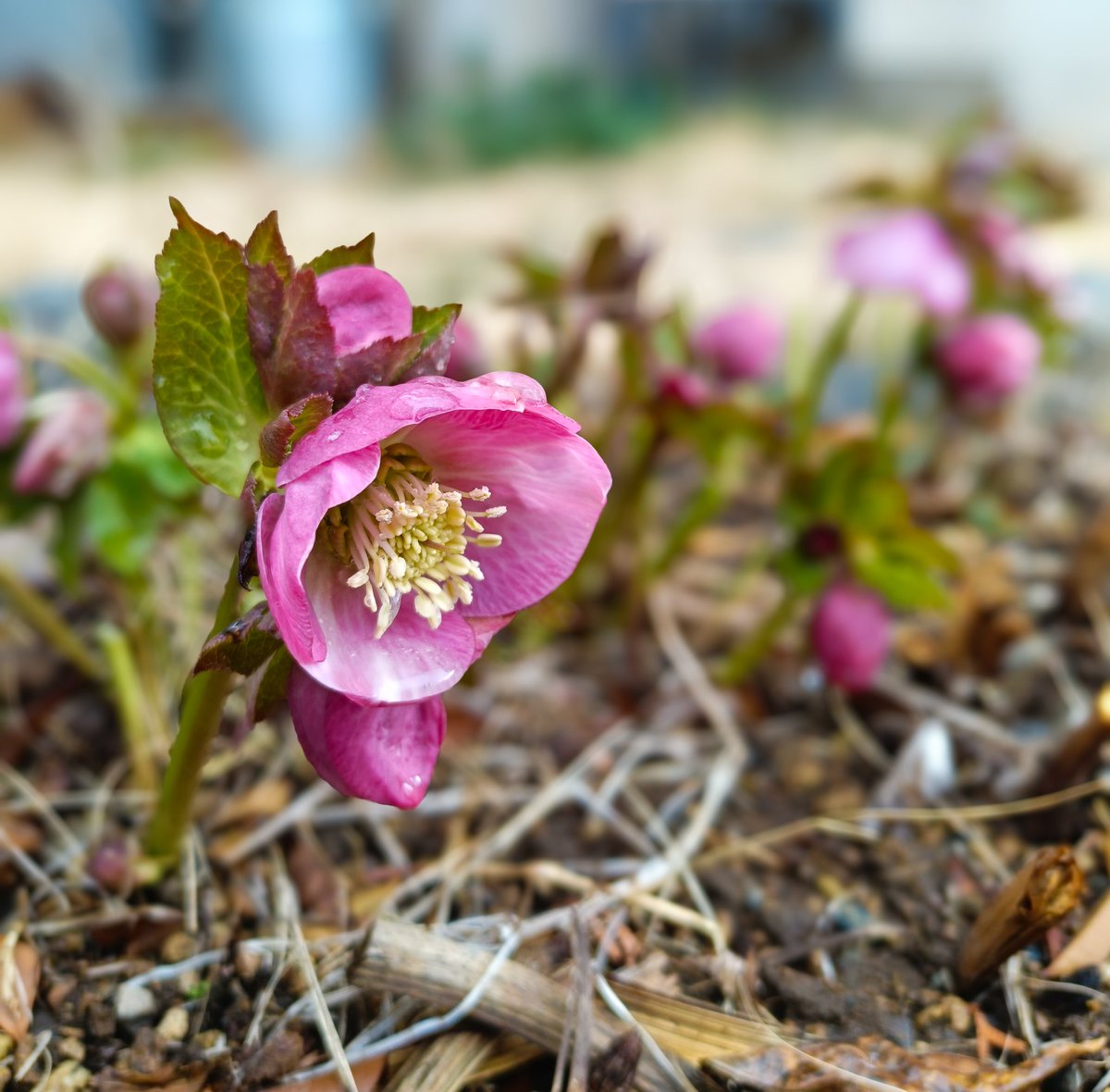 3/02(月)、おはようございます！ 年度末ですねー 今月は忙しくなりそう