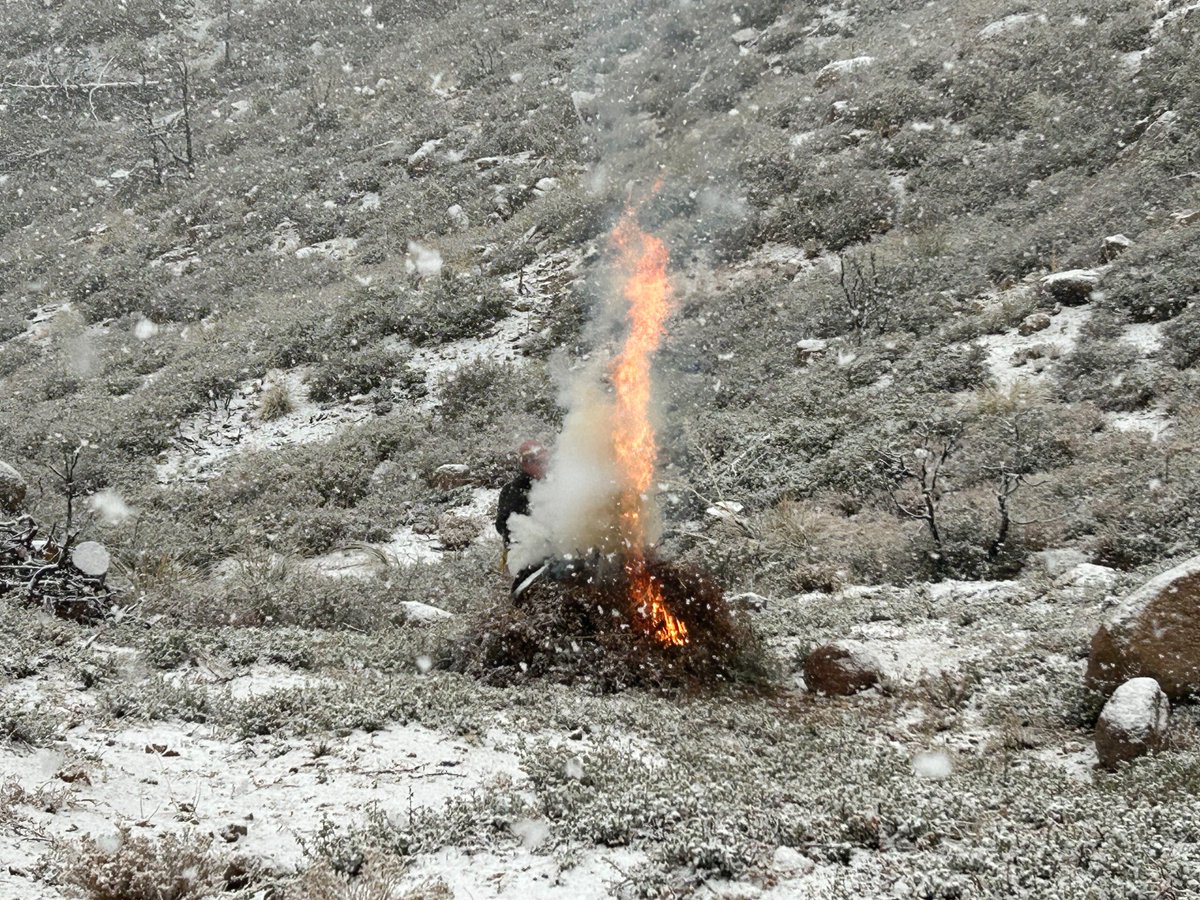 Bureau of Land Management Arizona Fire Management tweet media