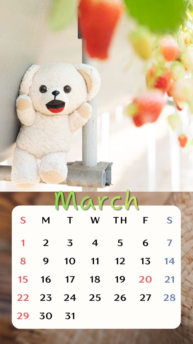 NSファーファ・ジャパン【公式】 (@nsfafajapan) / Posts / X