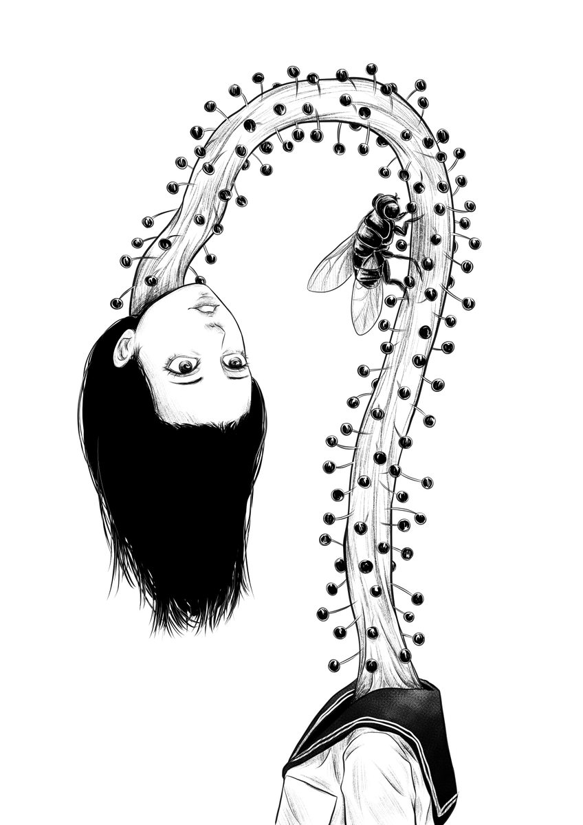 Darkning_art's tweet photo. Carnivorous plants 2024 https://t.co/lfUQDzSpuJ