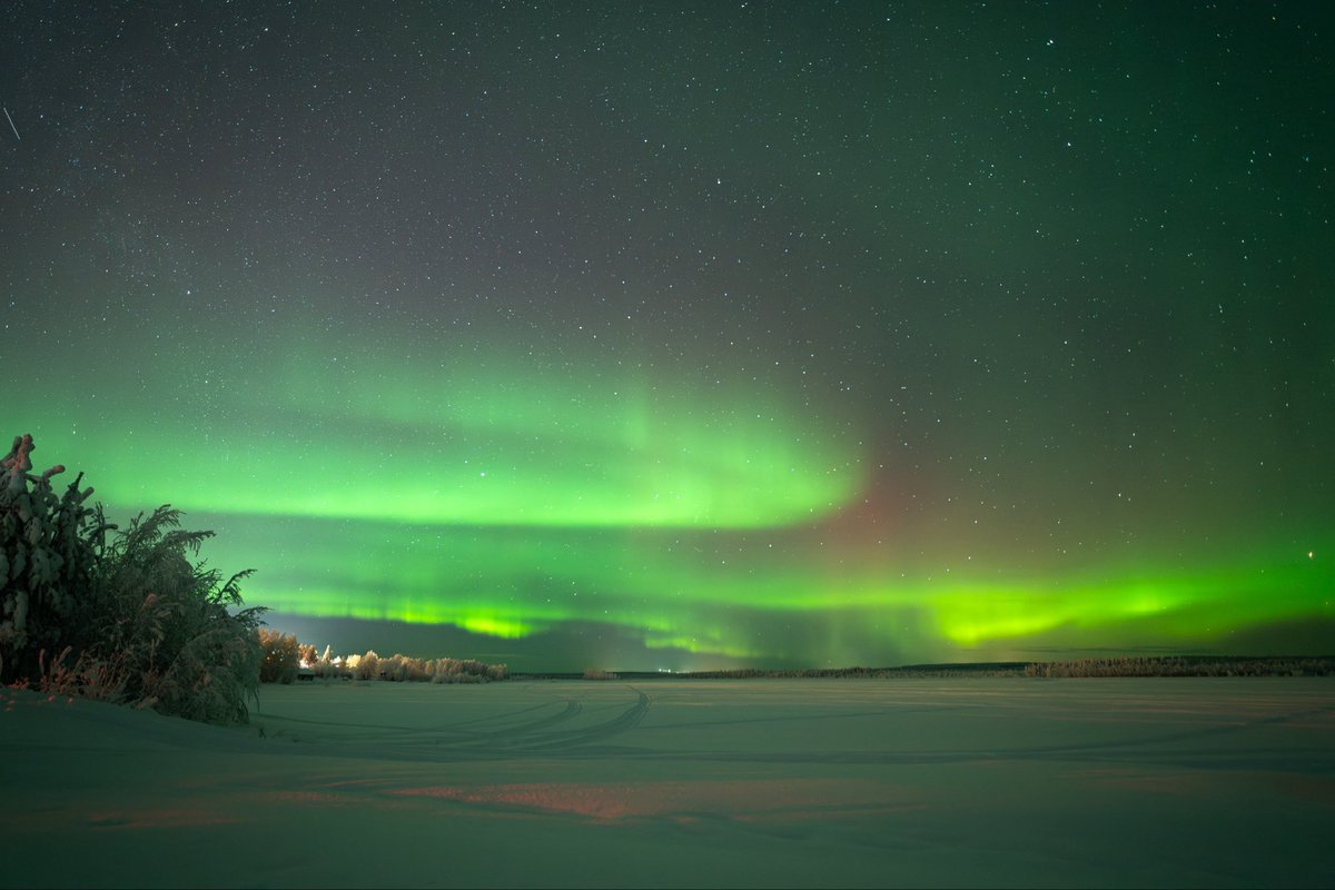 はるなᵕ̈ tweet media