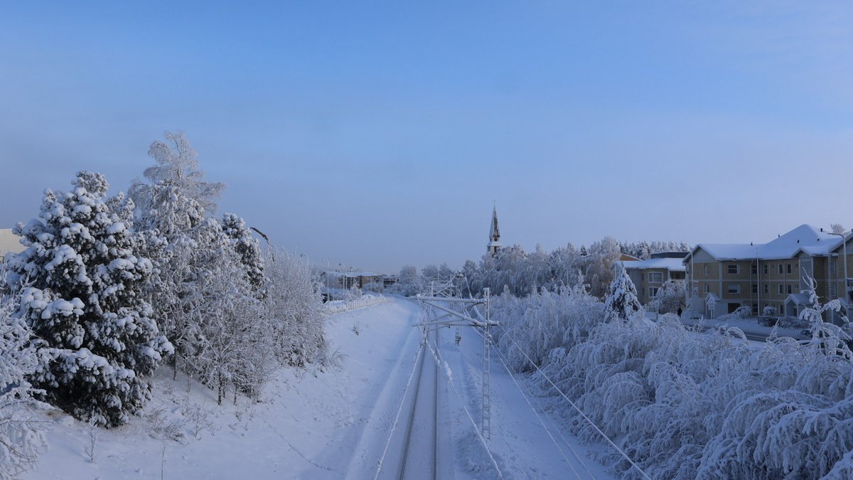 はるなᵕ̈ tweet media