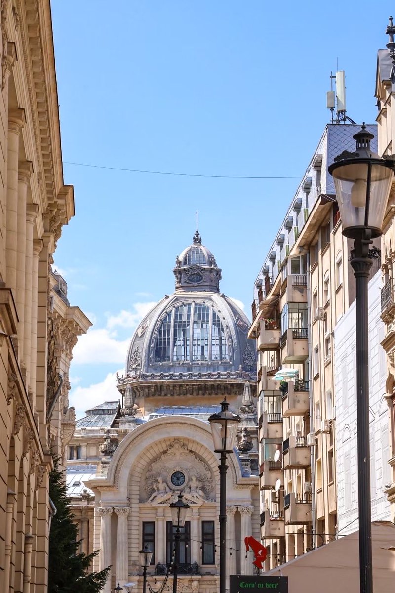 はるなᵕ̈ tweet media