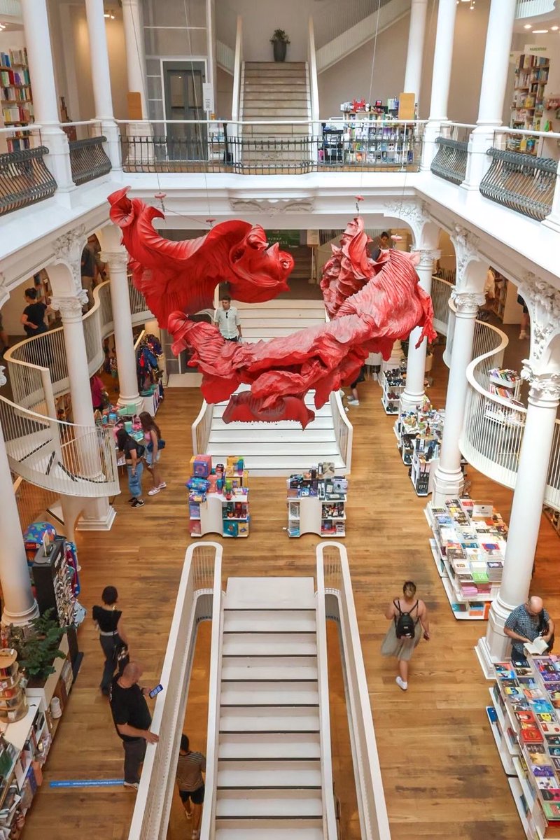 はるなᵕ̈ tweet media