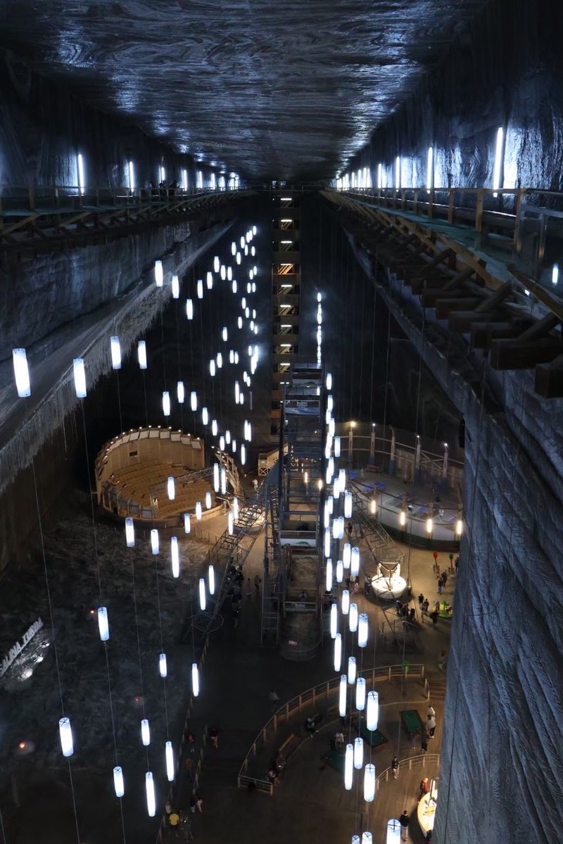 はるなᵕ̈ tweet media