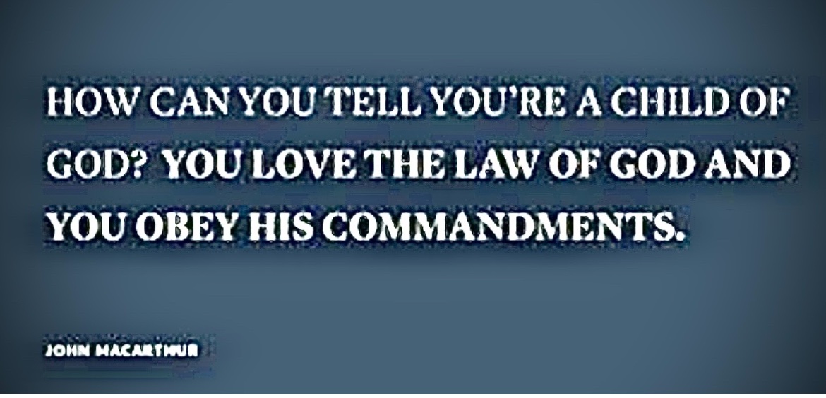 Steve Martin (shaking the ladder) tweet media