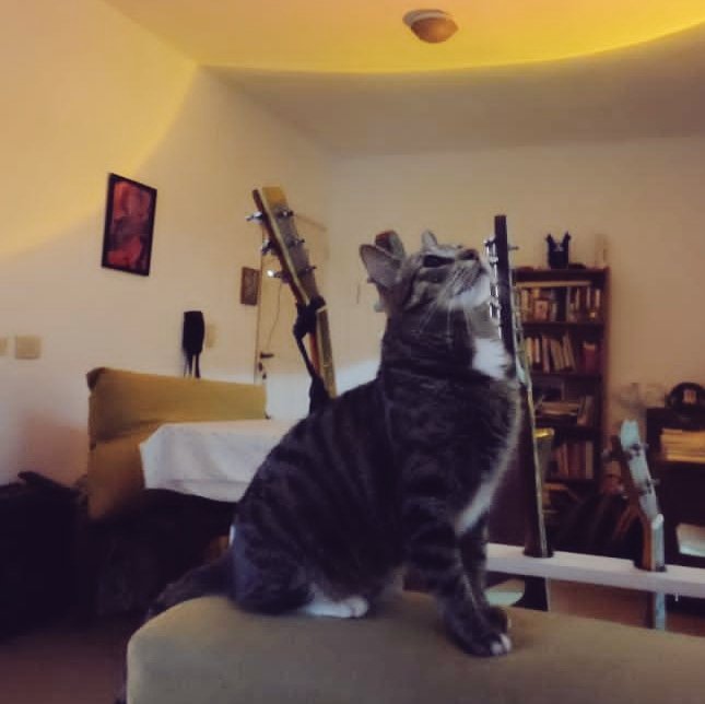 nenedeboca's tweet photo. Toy triste, este verano no pude ir a Mardel
Mi gato: No estés triste mirá *lobo marino* https://t.co/1sVcLIMz66