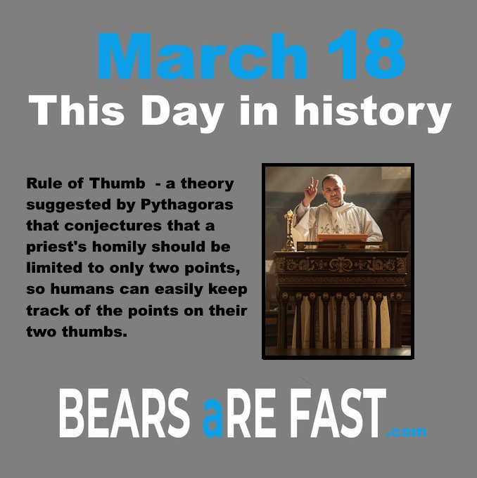 Bears Are Fast tweet media