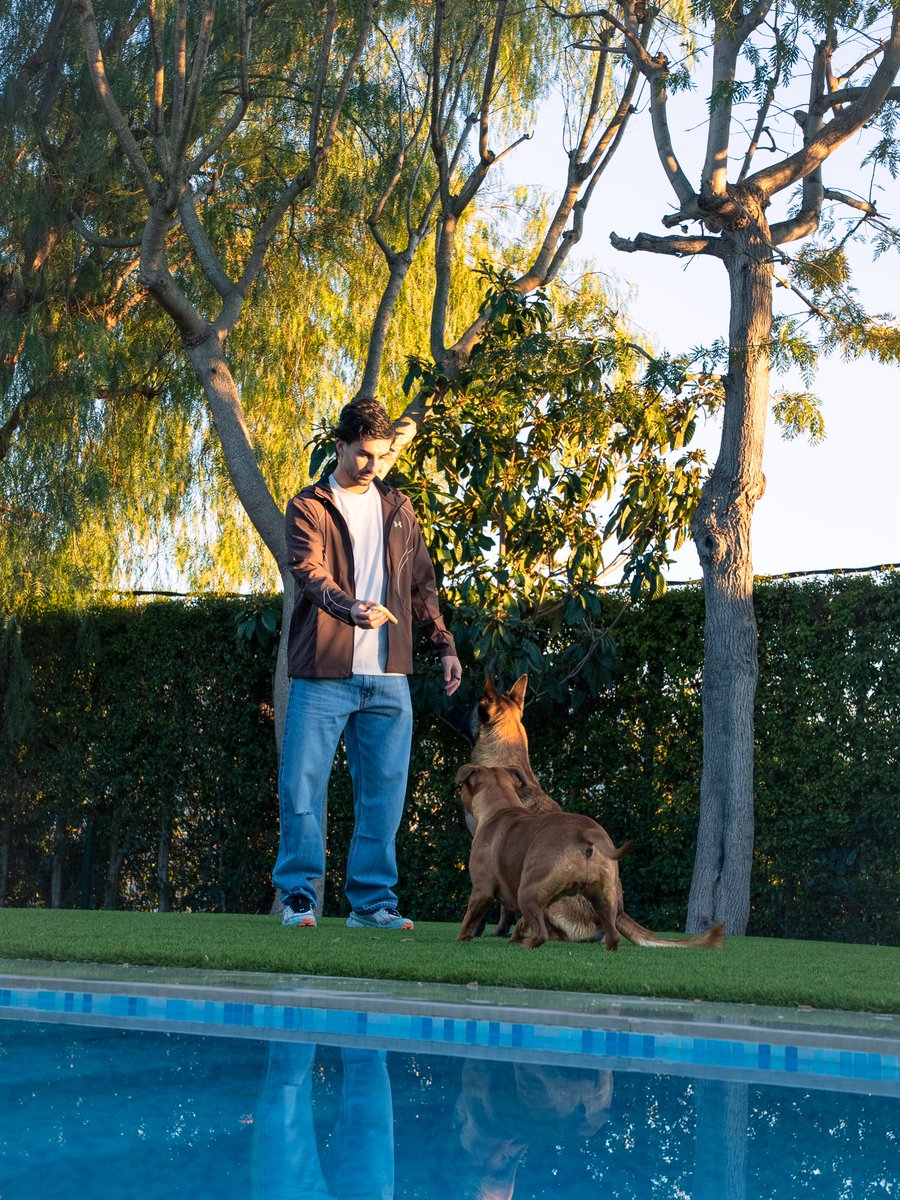 Ferran Torres on X 
"Vader &amp; Roma 🐶😍"
With a lot of hate comments on his post, bro turn it to motivation and show them what sharks do to its prey.
I still believe in you somehow