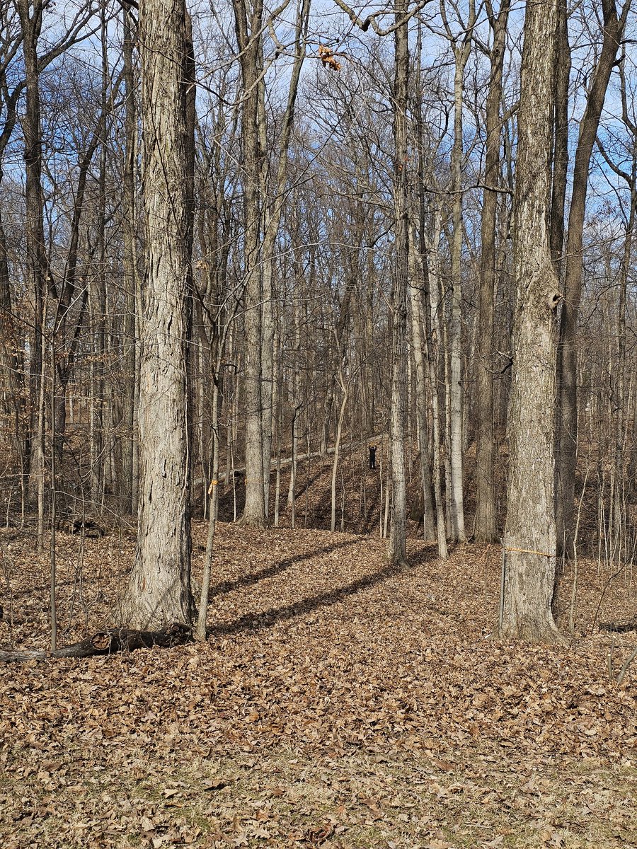 Crunchy_DG tweet media