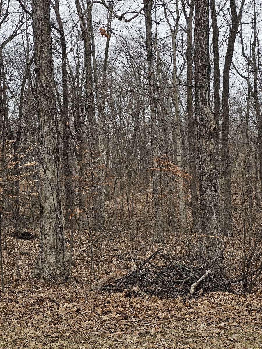 Crunchy_DG tweet media