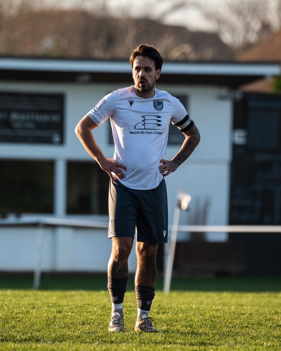 amymarshallcreative tweet media