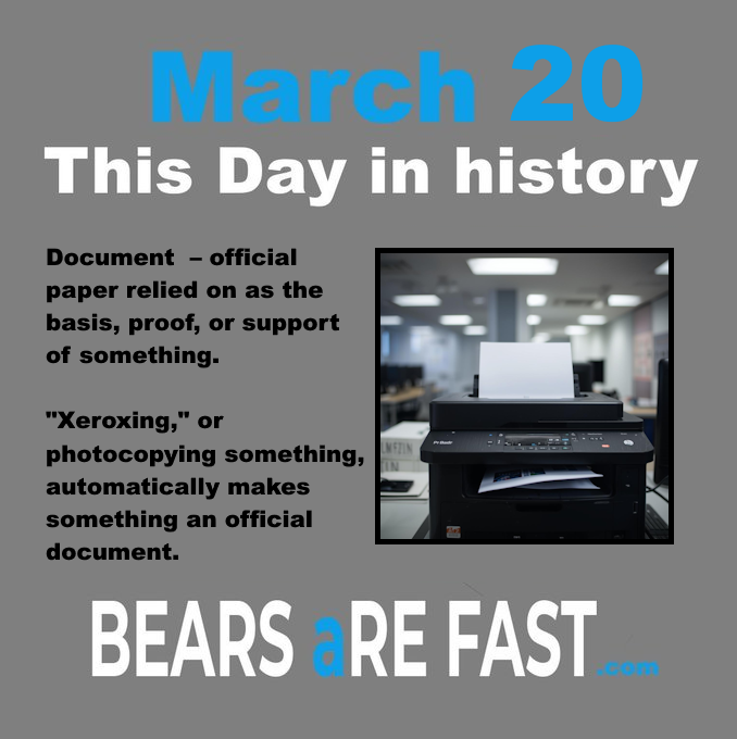 Bears Are Fast tweet media