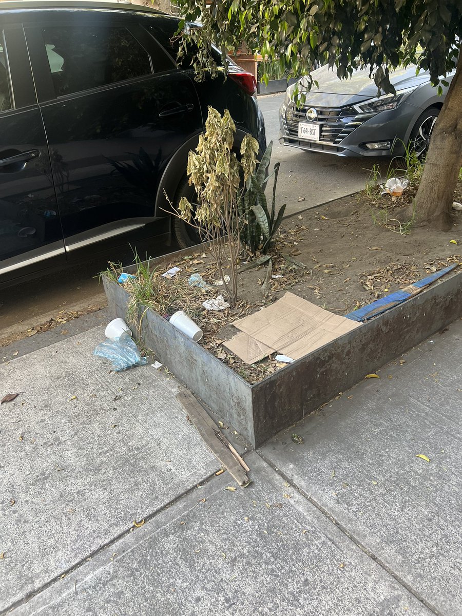 LilaCharvel's tweet photo. @CEOWallmart Así sus jardineras sobre Pachuca en Wallmart express Condesa CDMX https://t.co/xQp31WlaGj