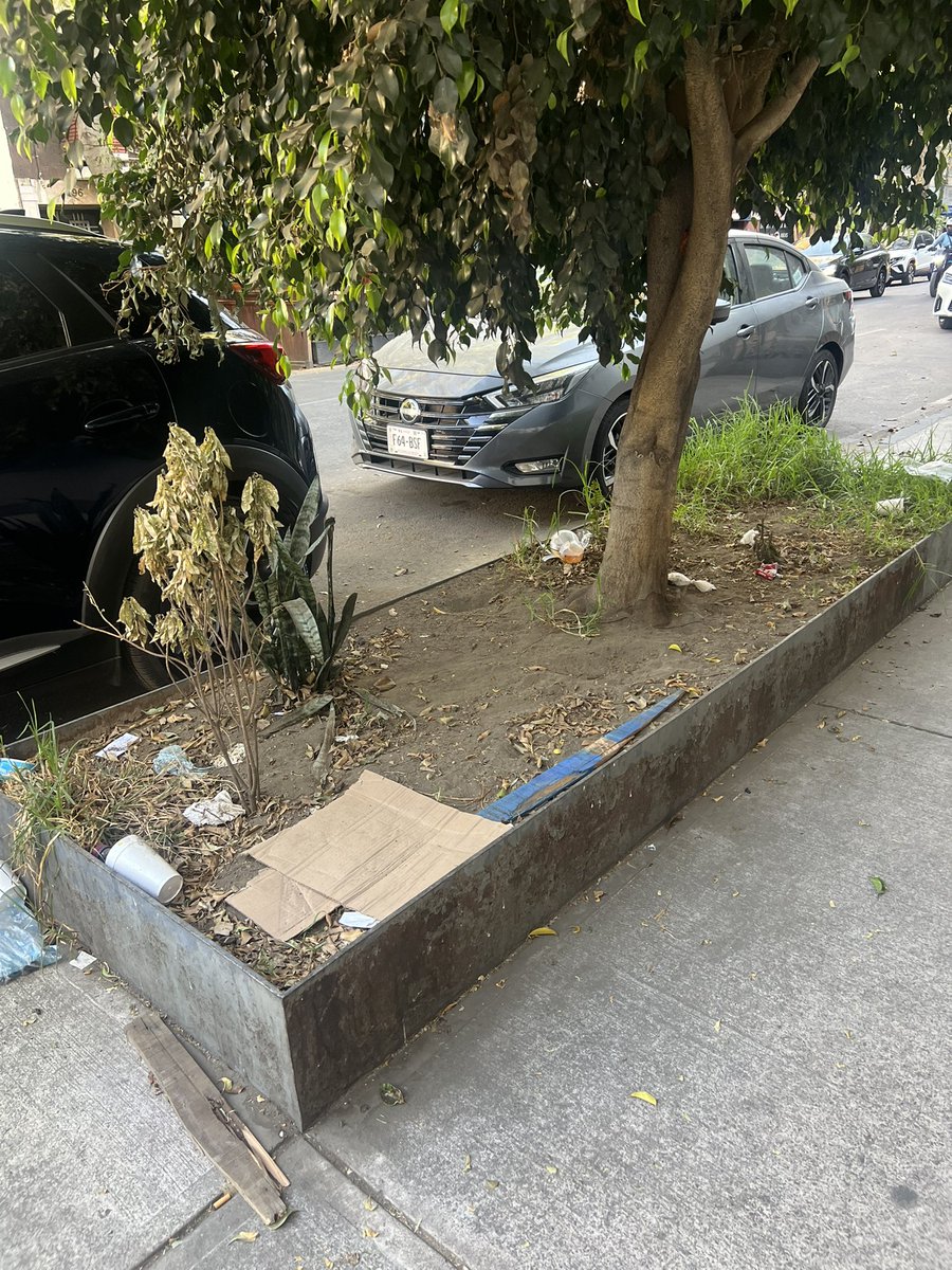 LilaCharvel's tweet photo. @CEOWallmart Así sus jardineras sobre Pachuca en Wallmart express Condesa CDMX https://t.co/xQp31WlaGj