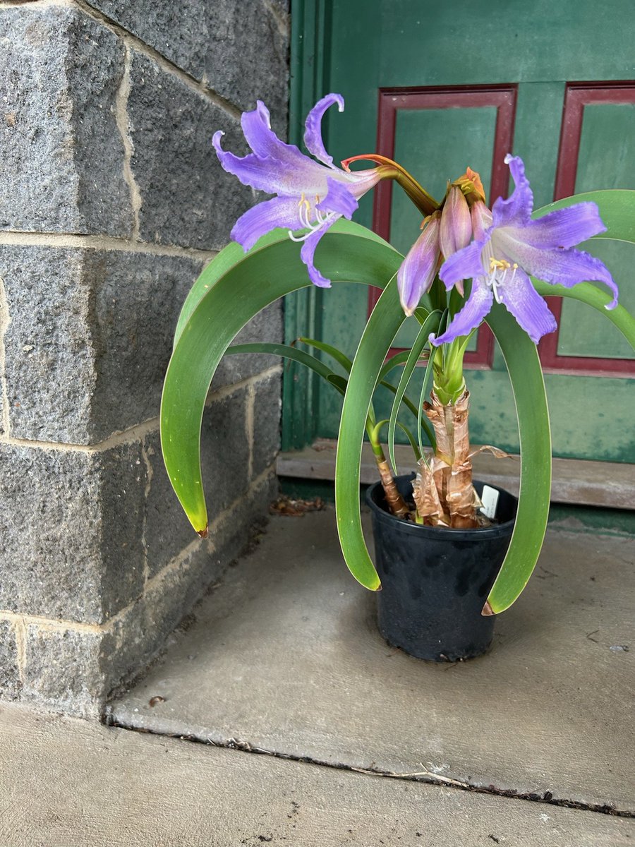 John Sheely tweet media