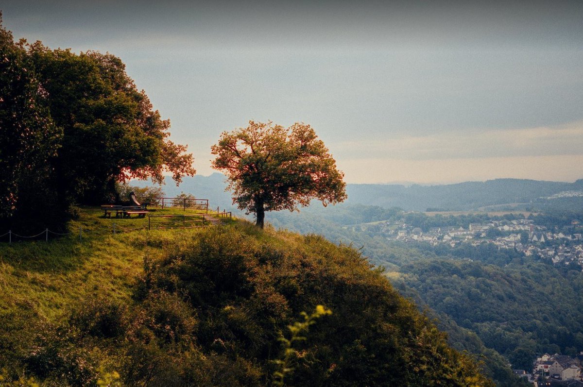 Trieu Hai tweet media