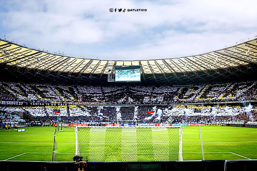 Thiago SCAP tweet media