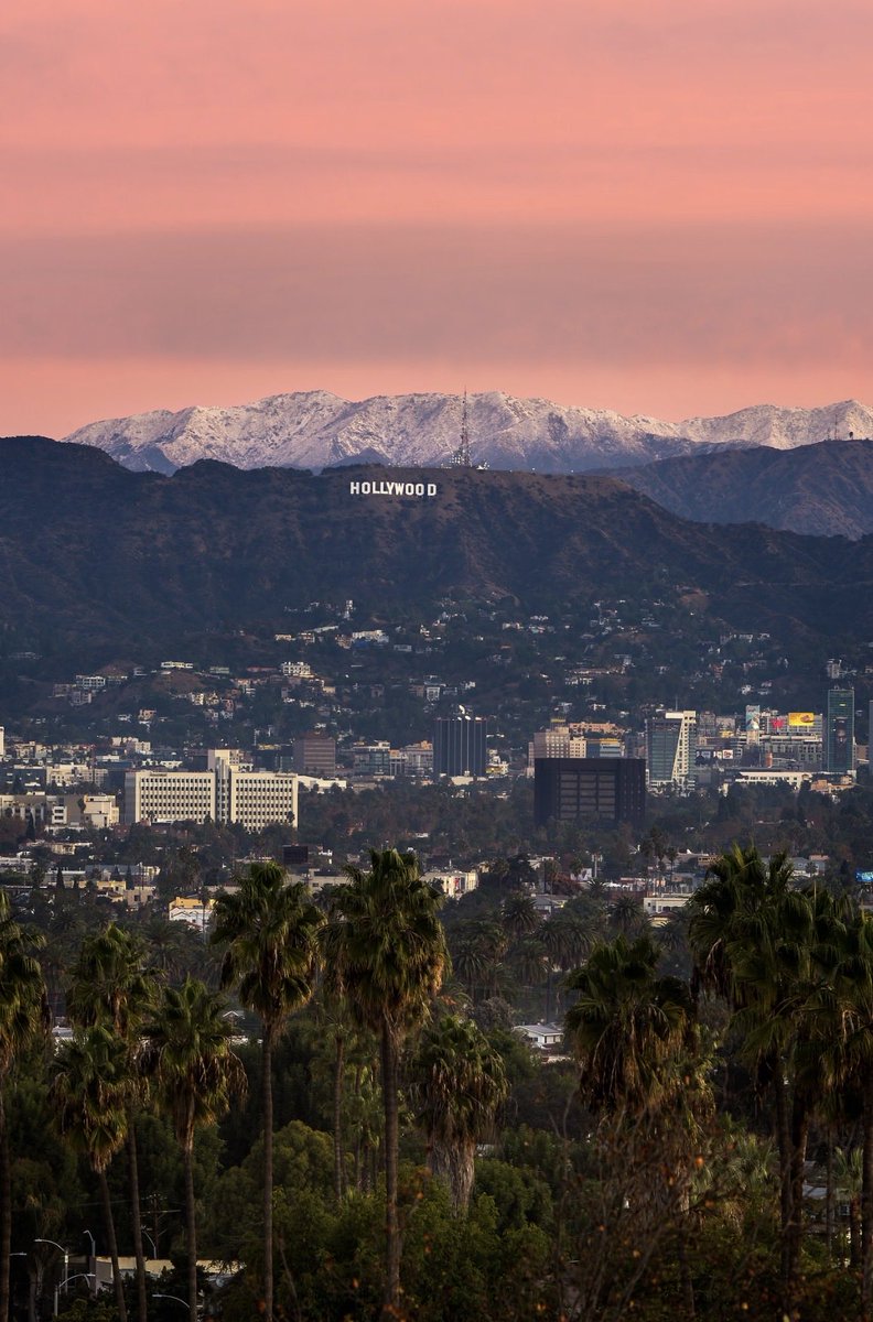 Brandon Yoshizawa tweet media